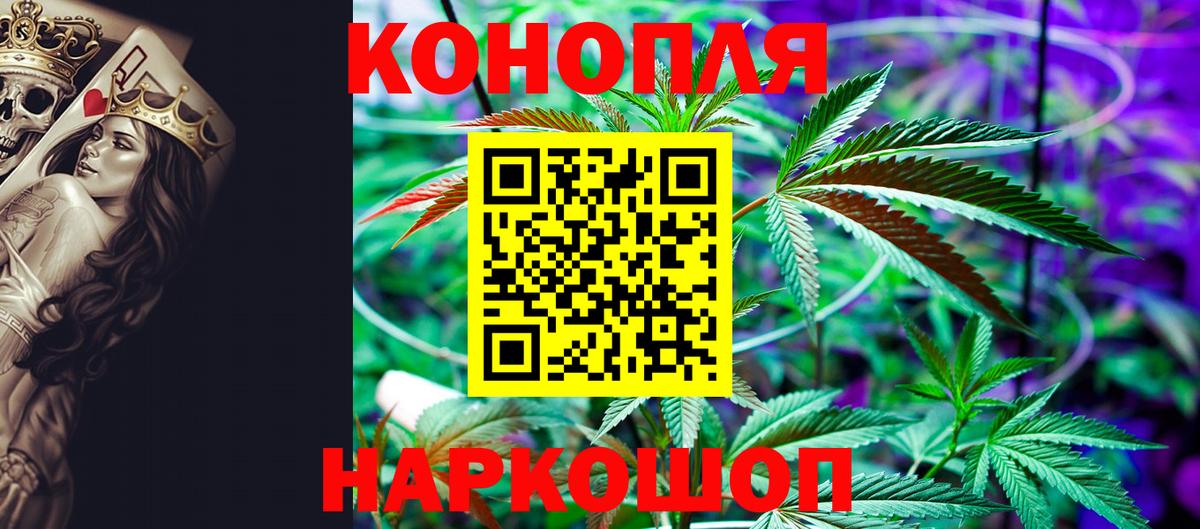 Канабис план  Бошки марихуана тримм  Новоалександровск  Вход с VPN  МАРИХУАНА White Widow 